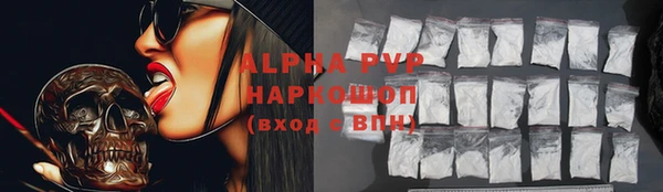 СК Алексин