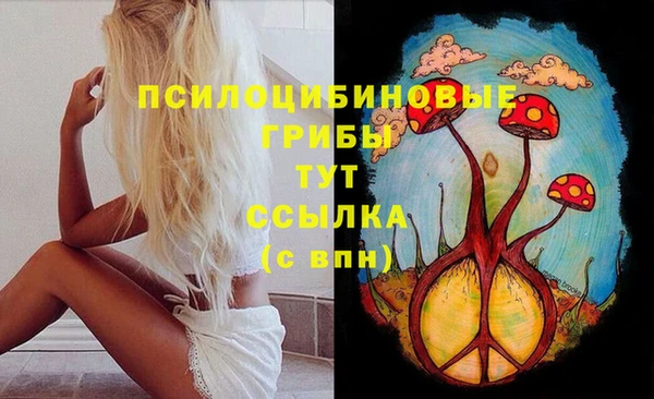 spice Алексеевка