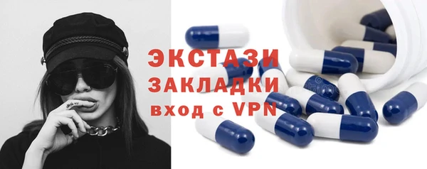 СК Алексин